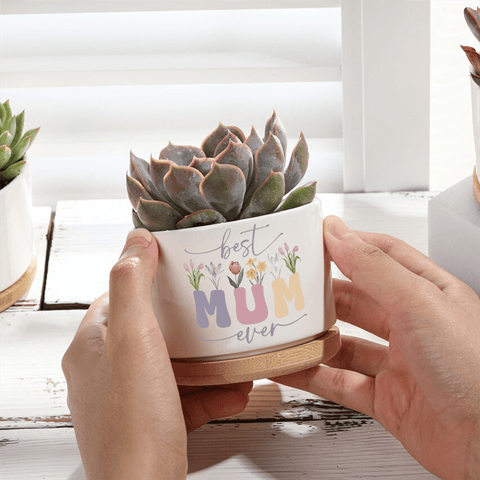 Moederdag Bloempot – Het Perfecte Geschenk voor Mama!