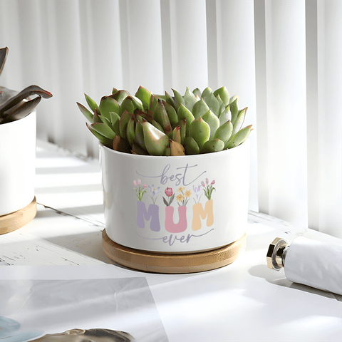 Moederdag Bloempot – Het Perfecte Geschenk voor Mama!