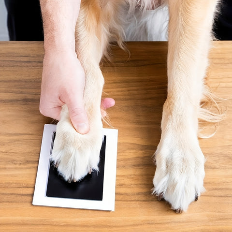 Dierenpootafdruk Inktset - Het Perfecte Cadeau voor Blijvende Herinneringen