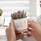 Moederdag Bloempot – Het Perfecte Geschenk voor Mama!