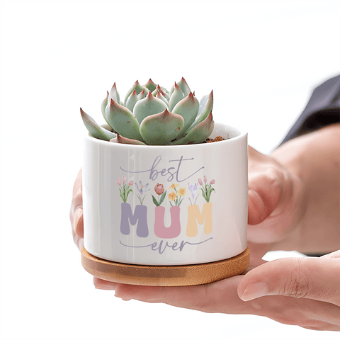 Moederdag Bloempot – Het Perfecte Geschenk voor Mama!