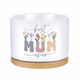 Moederdag Bloempot – Het Perfecte Geschenk voor Mama!