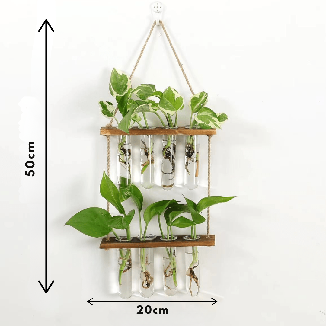 Wanddecoratie vaas - Plantenterrarium met Houten Standaard – Uniek voor Hydrocultuurplanten