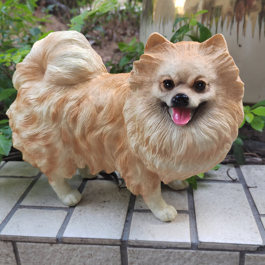 Pomeranian Hond Tuinbeeld – Perfecte Decoratie voor Huis en Tuin