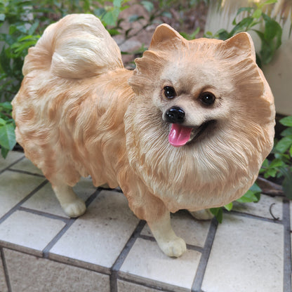 Pomeranian Hond Tuinbeeld – Perfecte Decoratie voor Huis en Tuin