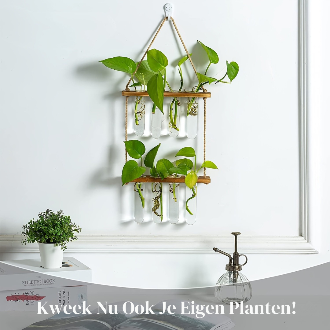 Wanddecoratie vaas - Plantenterrarium met Houten Standaard – Uniek voor Hydrocultuurplanten