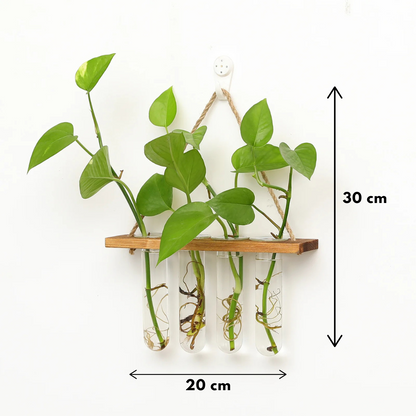 Wanddecoratie vaas - Plantenterrarium met Houten Standaard – Uniek voor Hydrocultuurplanten