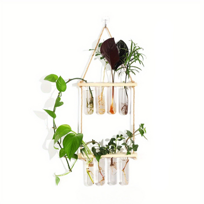 Wanddecoratie vaas - Plantenterrarium met Houten Standaard – Uniek voor Hydrocultuurplanten