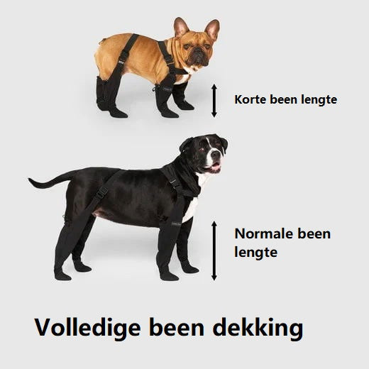 Hondenlaarzen – Bescherm Pootjes Tegen Warmte, Kou en Ruw Terrein