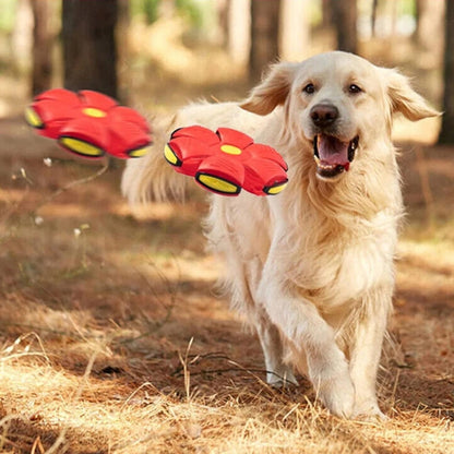 Speelbal en Frisbee – Slim Speelgoed voor Eindeloos Speelplezier voor Uw Hond