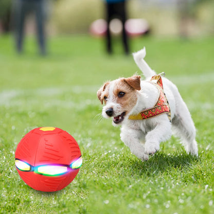 Speelbal en Frisbee – Slim Speelgoed voor Eindeloos Speelplezier voor Uw Hond