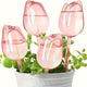 Waterdruppelaar Tulpen – Geen Gedoe Meer met Planten Watergeven
