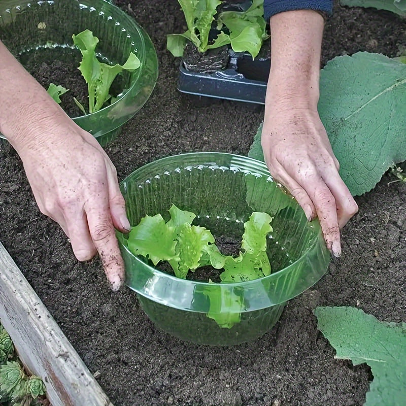 Plantbeschermers Tegen Slakken – Milieu- & Diervriendelijke Oplossing!