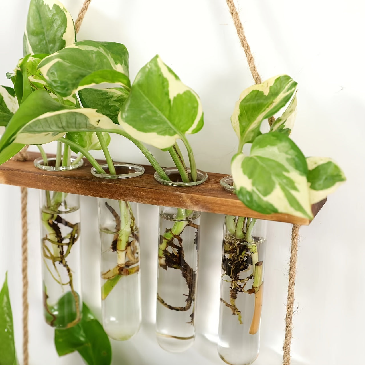 Wanddecoratie vaas - Plantenterrarium met Houten Standaard – Uniek voor Hydrocultuurplanten