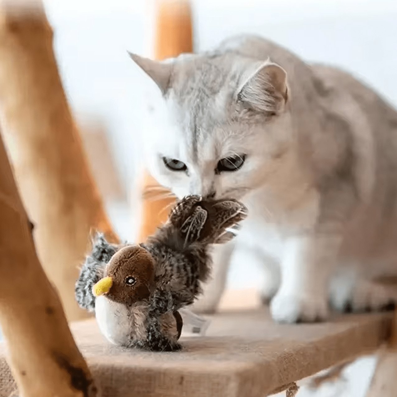 PlayBird | Het Speelmaatje dat je Kat in Beweging Houdt - The DropsAlle producten