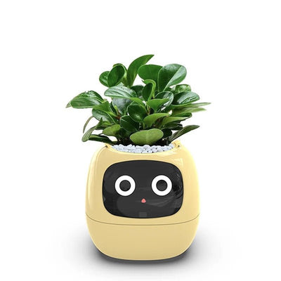 Slimme Plantenpot 'Ivy' - Geen Groene Vingers meer nodig!